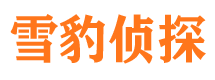 酒泉外遇出轨调查取证